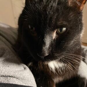 Meet your Posher, Aden